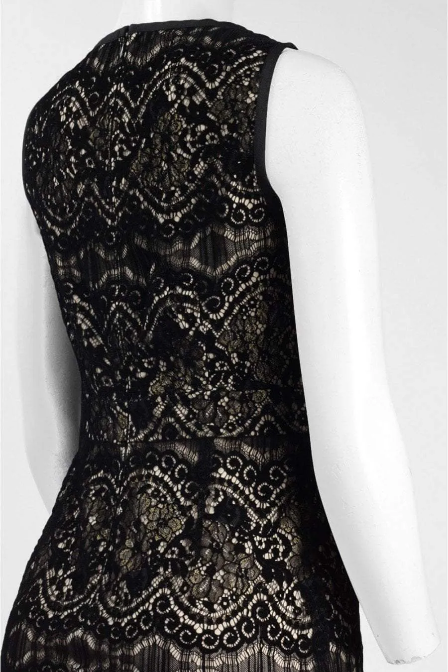 Adrianna Papell - AP1D101560 Sleeveless Velvet Lace Sheath Dress