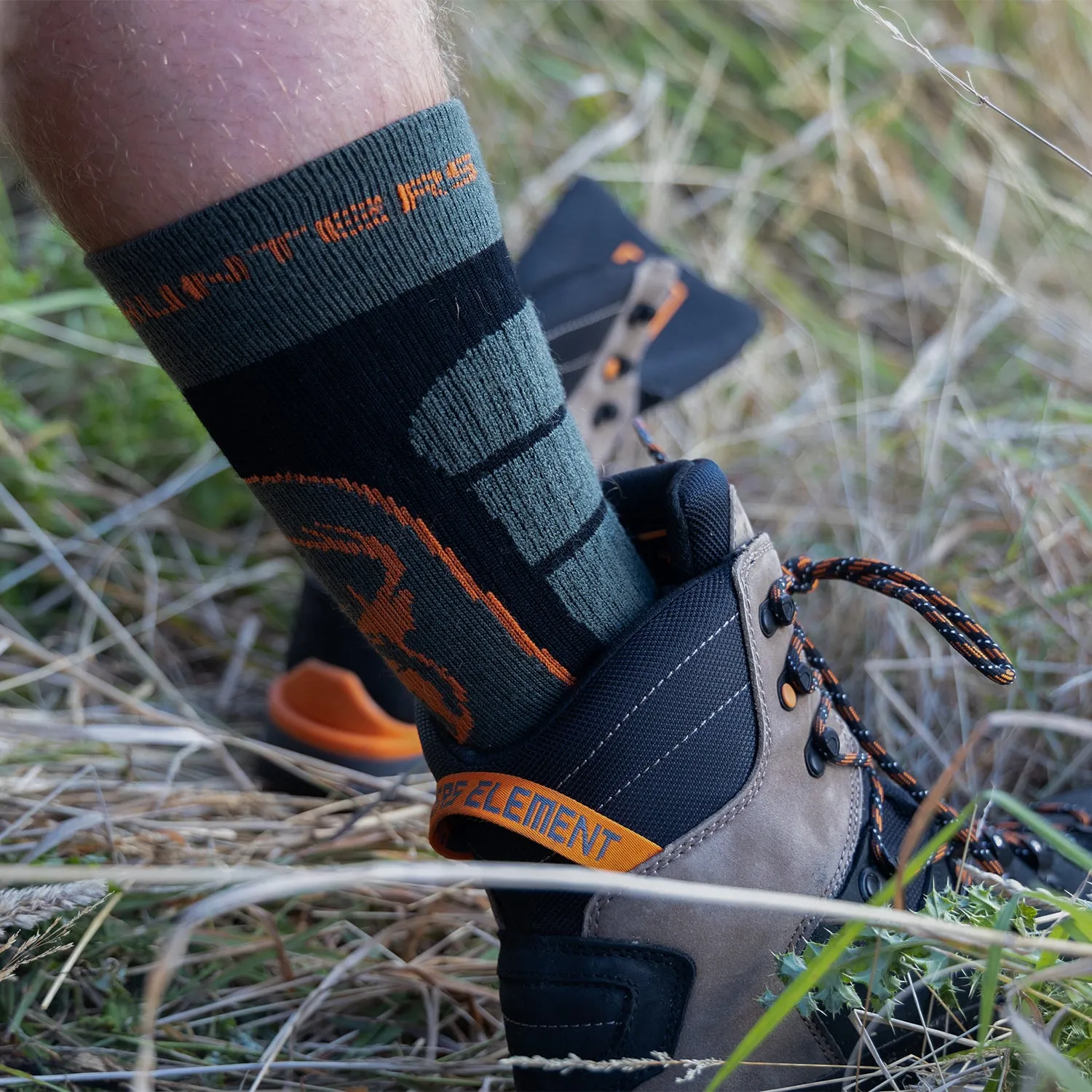 Apex Socks