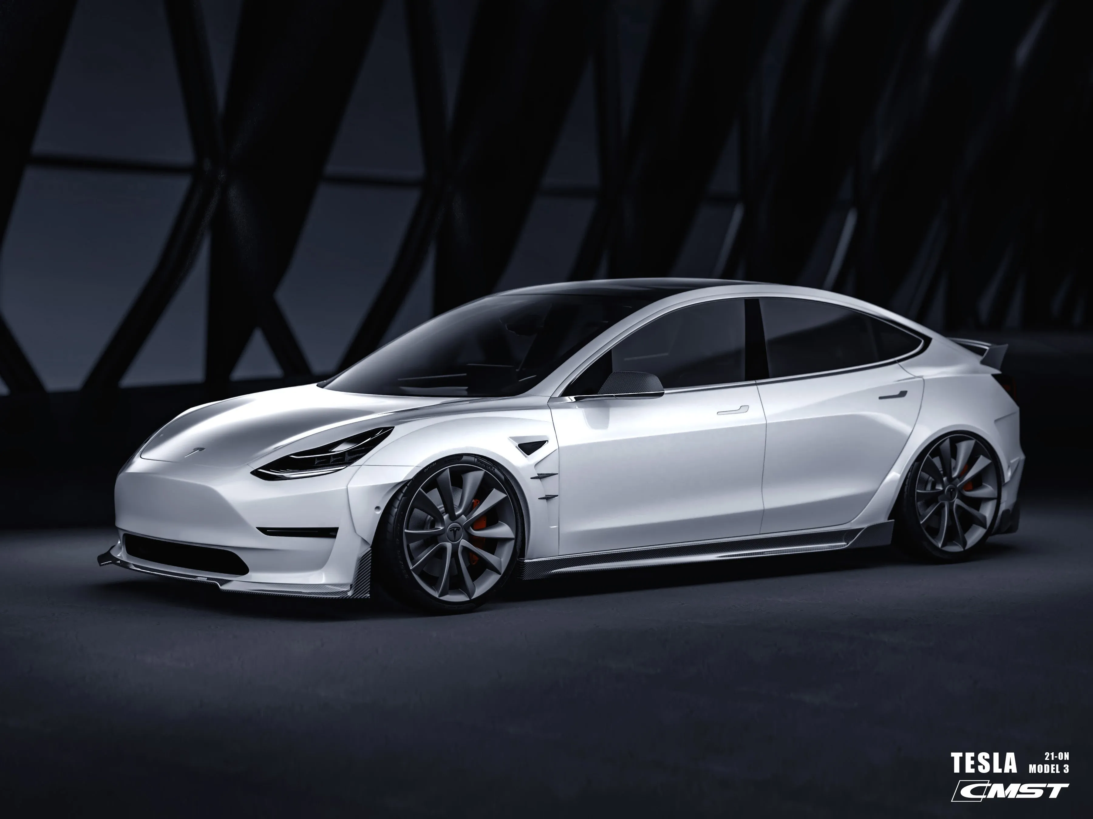 TESERY Tesla Model 3 Carbon Fiber Side Skirts Ver.4